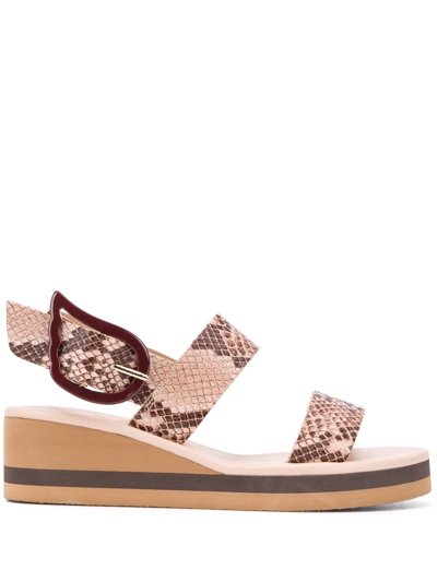 Ancient Greek Sandals Clio Rainbow Python-embossed Leather Wedges In Neutrals