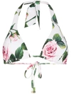 Dolce & Gabbana Geranium Print Triangle Bikini Top In Green