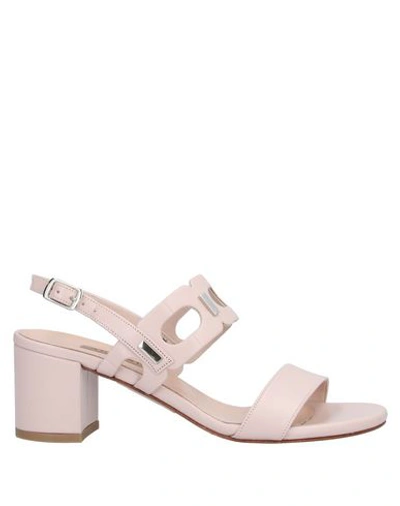 Albano Sandals In Light Pink