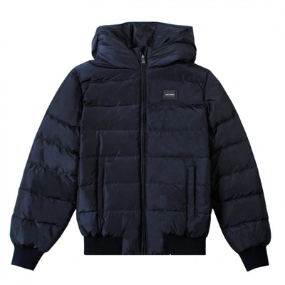 Dolce & Gabbana Kids' Dolce &amp; Gabbana Padded Down Jacket In Navy