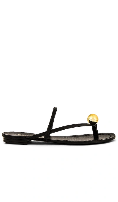 Raye Palma Sandal In Black