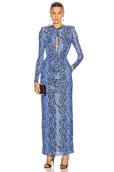 Dundas Long Sleeve Maxi Dress In Blue Python