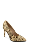 Bcbgeneration Holli Pointed Toe Pump In Cheetah