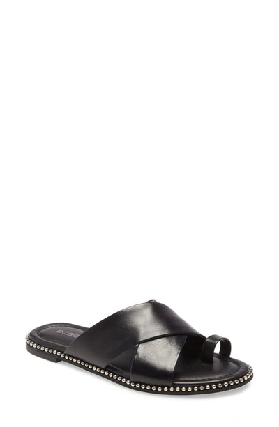 Bcbgeneration Zalli Toe Loop Sandal In Black