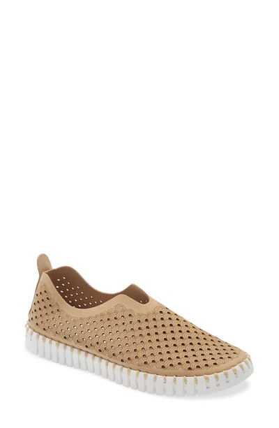 Ilse Jacobsen Tulip 139 Perforated Slip-on Sneaker In Latte Beige Fabric