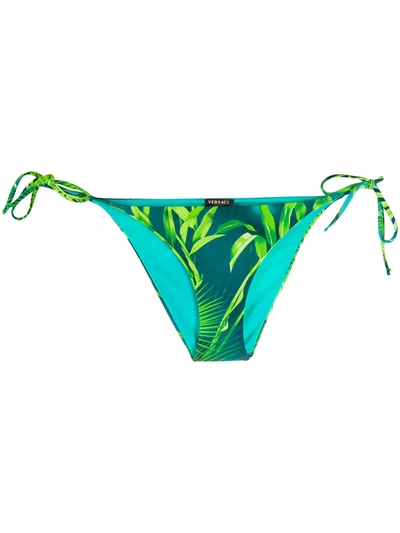 Versace Jungle Print Bikini Bottoms In Green