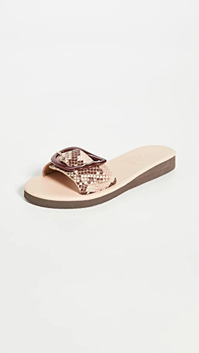 Ancient Greek Sandals Aglaia Wing-buckle Python Effect-leather Slides In Neutral