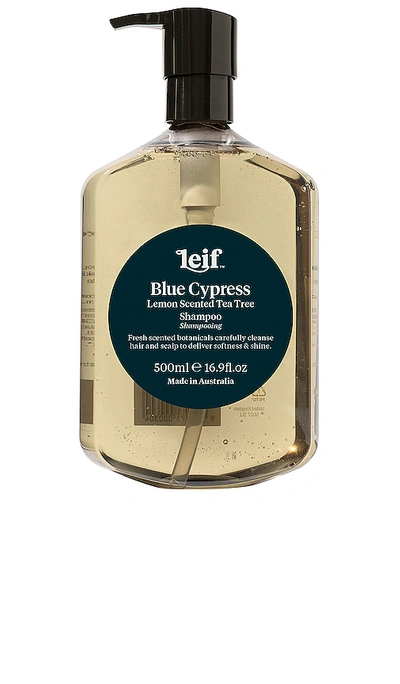 Leif Blue Cypress 샴푸 In N,a
