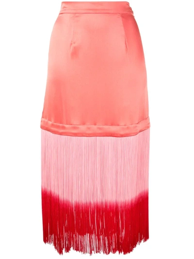 Taller Marmo Fringed Trim Straight Skirt In Pink