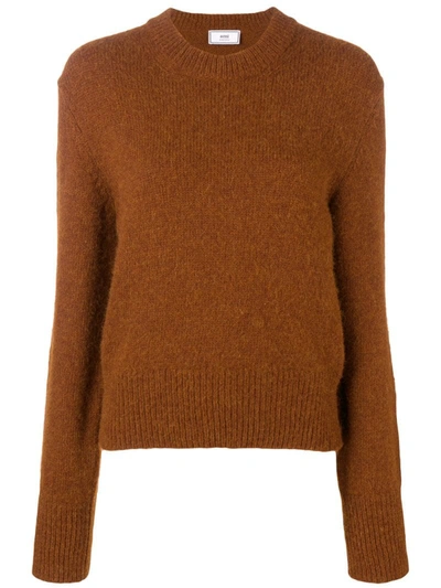 Ami Alexandre Mattiussi Crew Neck Sweater In Brown