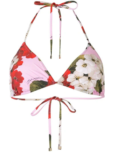 Dolce & Gabbana Rose Print Bikini Top In Red