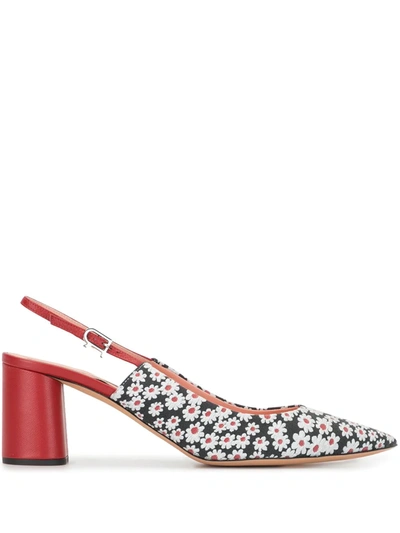 Rochas Daisy Print Pointed Slingback Shoes In Blk/wht