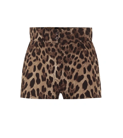 Dolce & Gabbana High Waist Leopard Stretch Drill Shorts In Multi