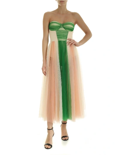 Elisabetta Franchi Tulle Dress In Green And Pink