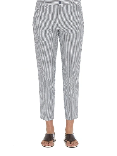 Dondup Rothka Striped Cropped Pants In Blue