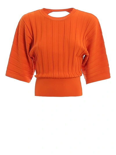 Pinko Blennio Rib Knitted T-shirt In Orange