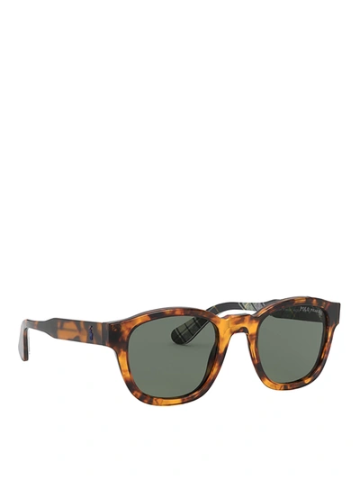 Polo Ralph Lauren Tortoise Squared Sunglasses In Brown