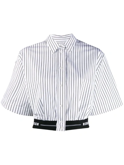 Msgm Elastic-hem Striped Crop Shirt In White
