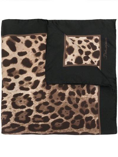 Dolce & Gabbana Leopard Print Scarf In Black