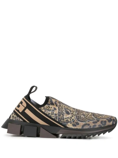 Dolce & Gabbana Sorrento Leopard-print Sneakers In Brown