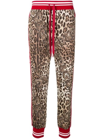Dolce & Gabbana Leopard-print Track Pants In Brown