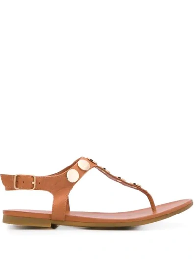 Kurt Geiger Maddie Thong Sandals In Brown