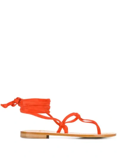 P.a.r.o.s.h Lace-up Thong Sandals In Orange