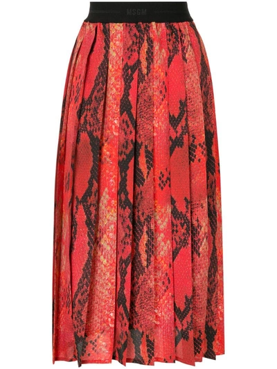 Msgm Snake-print Pleated Skirt In Red