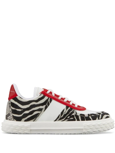 Giuseppe Zanotti Blabber Sneakers In Multicolor