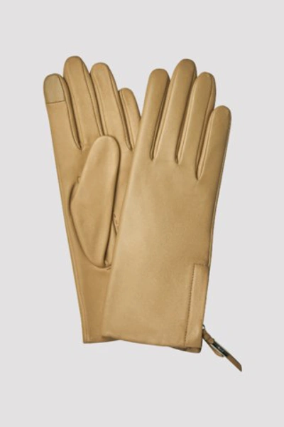 Filippa K Zip Gloves In Honey Beige