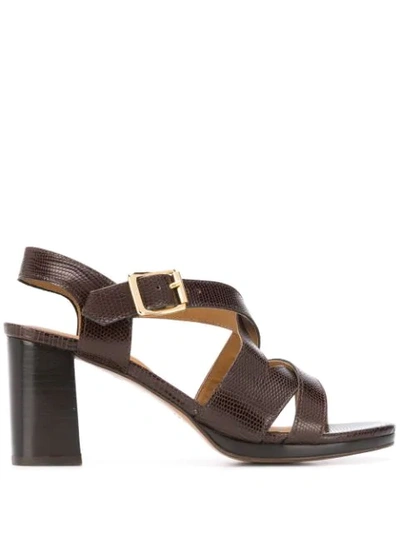 Apc Salma 80mm Crocodile-effect Sandals In Brown