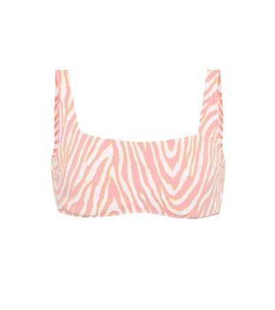 Heidi Klein Cape Town Zebra-print Bikini Top In Pink