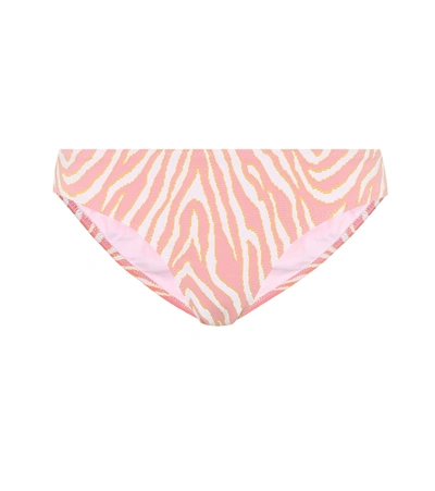 Heidi Klein Cape Town Zebra-print Bikini Bottoms In Pink