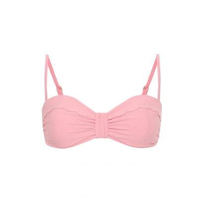 Heidi Klein South Beach Scalloped Bikini Top In Pink