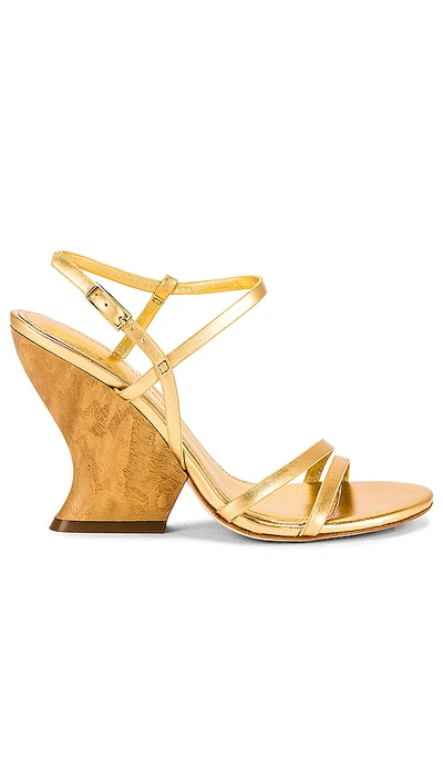 Sigerson Morrison Willa Sandal In Gold