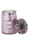 Voluspa Large Jar Candle In Japanese Plum Bloom