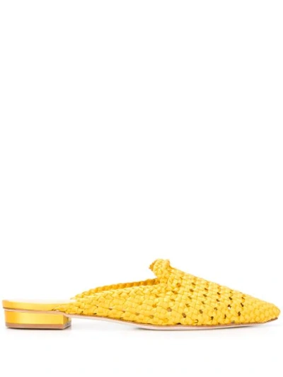 Giannico Alice Woven Mules In Yellow
