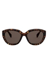 Prada Tortoiseshell Cat-eye Sunglasses In Havana