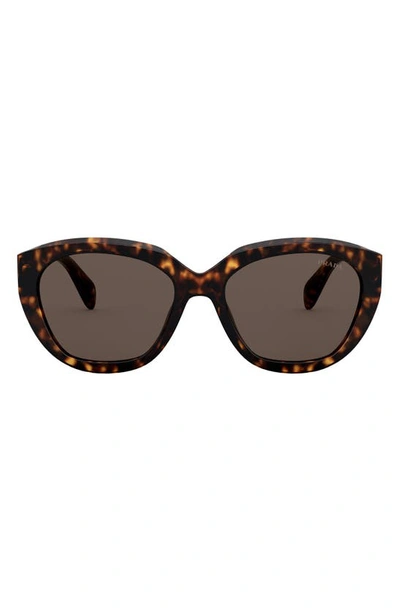 Prada Tortoiseshell Cat-eye Sunglasses In Havana