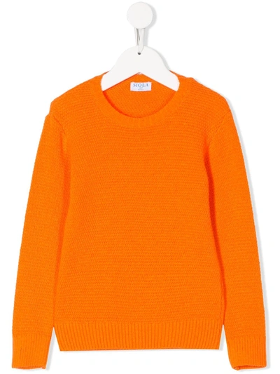 Siola Kids' Knitted Crew-neck Jumper In Orange