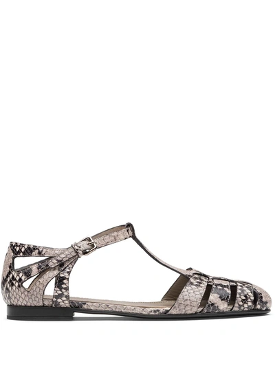 Church's Rainbow T-bar Sandal In Python Print Leather In Neutrals