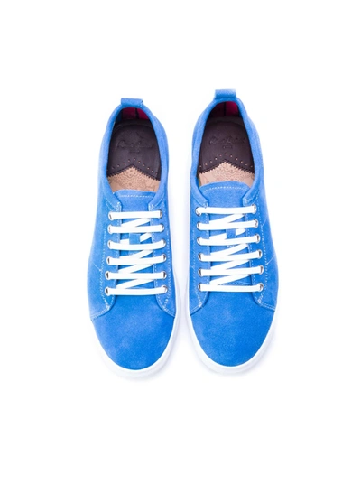 Robert Graham Ernesto Sneakers In Royal