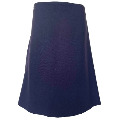 Pre-owned Ferragamo Blue Cotton Skirt