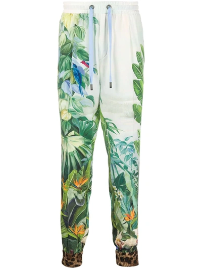 Dolce & Gabbana Tropical Print Track Pants In Green