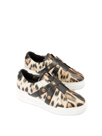 Roberto Cavalli Animalier Print Sneakers - Atterley In Beige