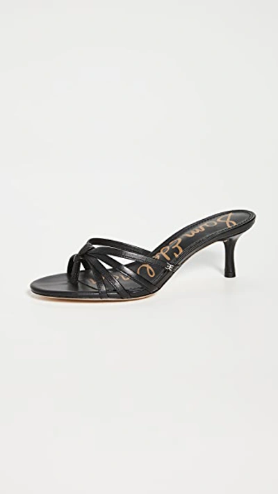 Sam Edelman Women's Jedda Slip On Thong Sandals In Black Leather