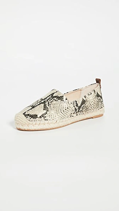 Sam Edelman Khloe Slip-on Espadrilles Women's Shoes In Beach Snake Print Leather