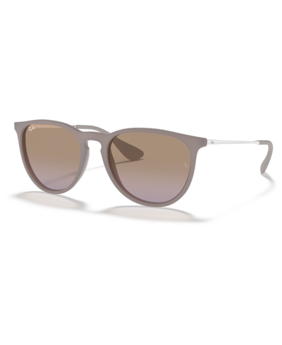 Ray Ban Erika Classic Sunglasses Silver Frame Brown Lenses 54-18 In Brown Tan,brown Gradient