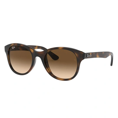 Ray Ban Rb4203 Sunglasses Tortoise Frame Brown Lenses 51-20