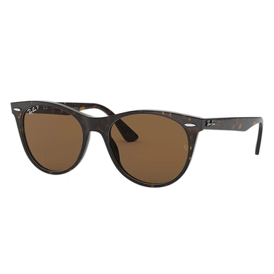 Ray Ban Wayfarer Ii Classic Sunglasses Spotted Havana Frame Brown Lenses Polarized 52-18